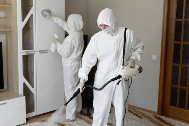 Professional Mold Remediation in Terrell, TX